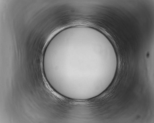 X0000115661486200911120932