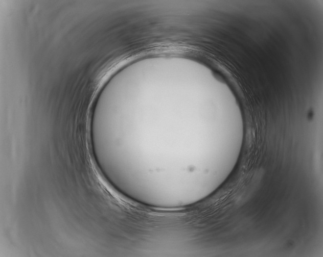 X0000115661487200911120932