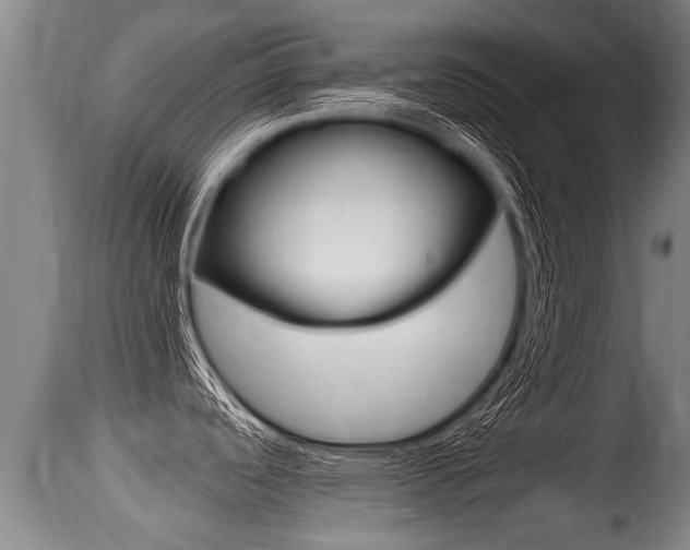X0000115661488200911120932