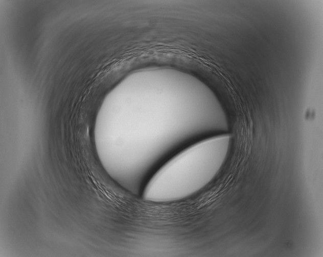 X0000115661489200911120931
