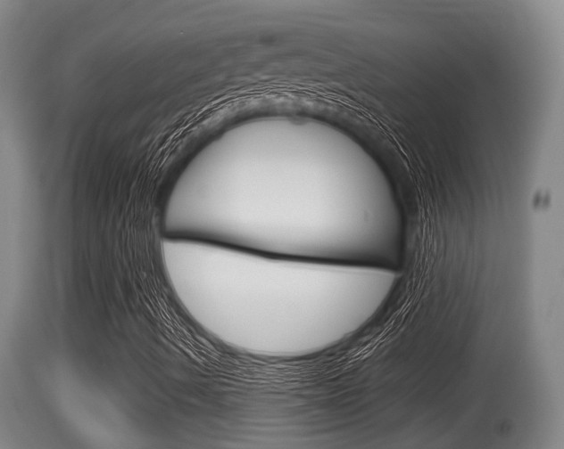 X0000115661490200911120931