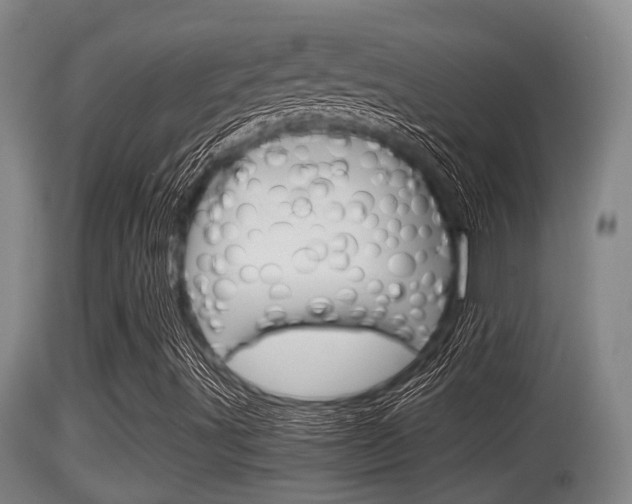X0000115661491200911120931