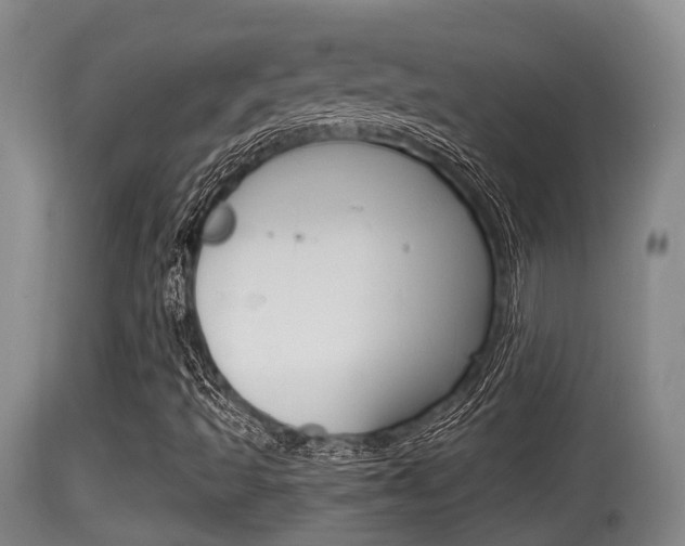 X0000115661493200911120931
