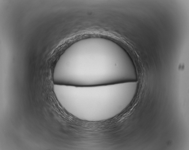 X0000115661494200911120931