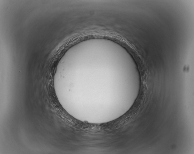 X0000115661495200911120931