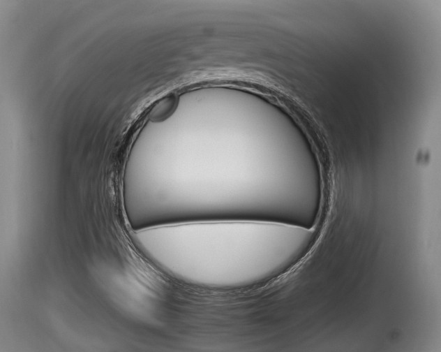 X0000115661497200911120931