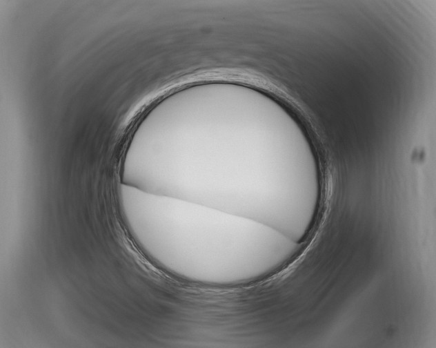 X0000115661498200911120931