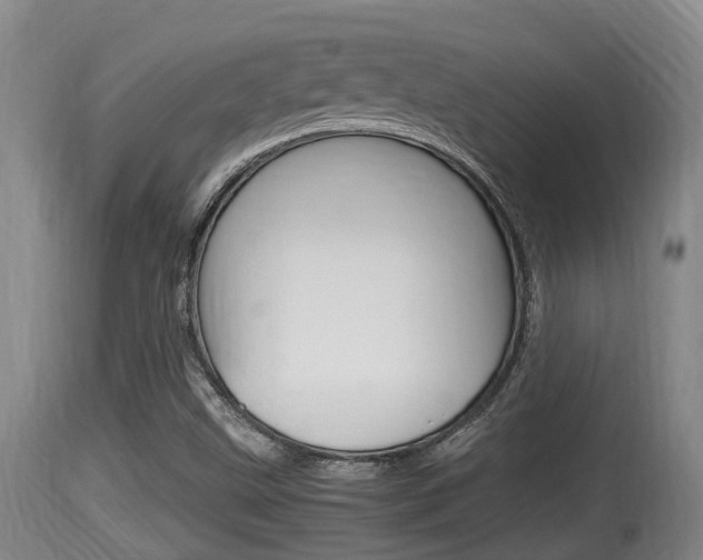 X0000115661499200911120931