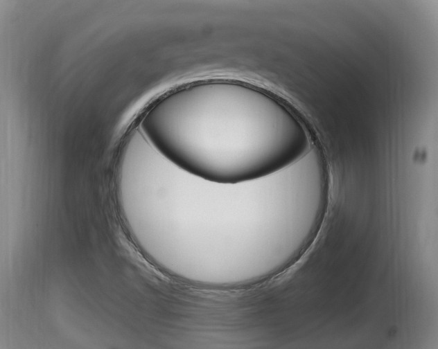 X0000115661502200911120931