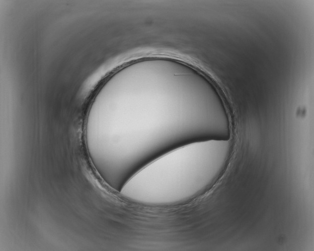 X0000115661503200911120931