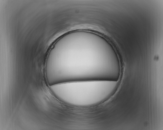 X0000115661505200911120931