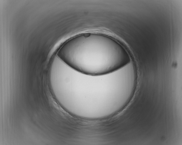 X0000115661506200911120931