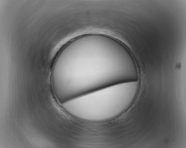 X0000115661507200911120931
