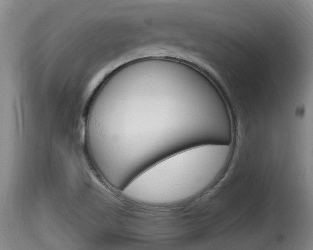 X0000115661509200911120931