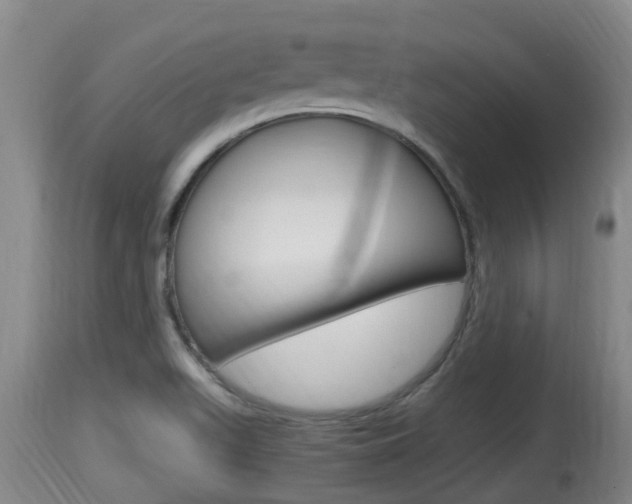 X0000115661511200911120931