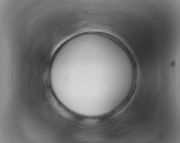 X0000115661513200911120931