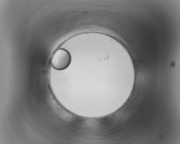 X0000115661514200911120931