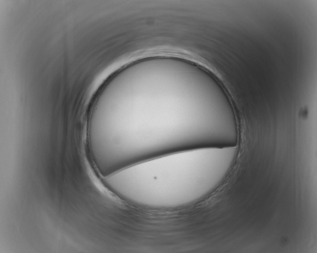 X0000115661515200911120931