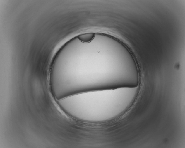 X0000115661517200911120931