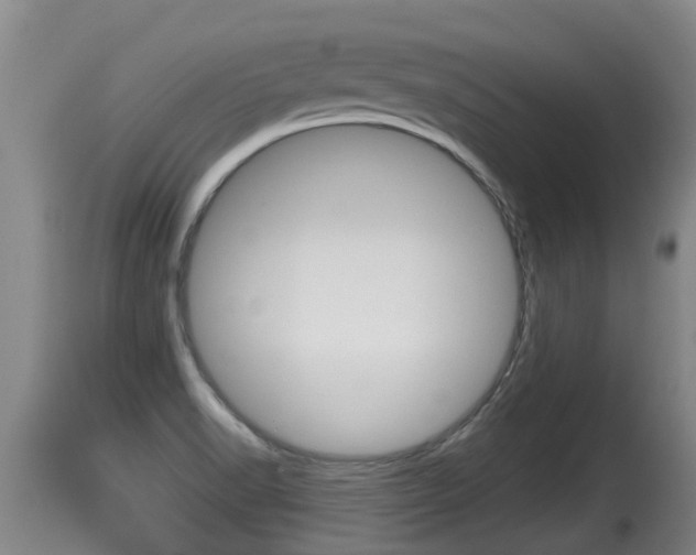 X0000115661518200911120931