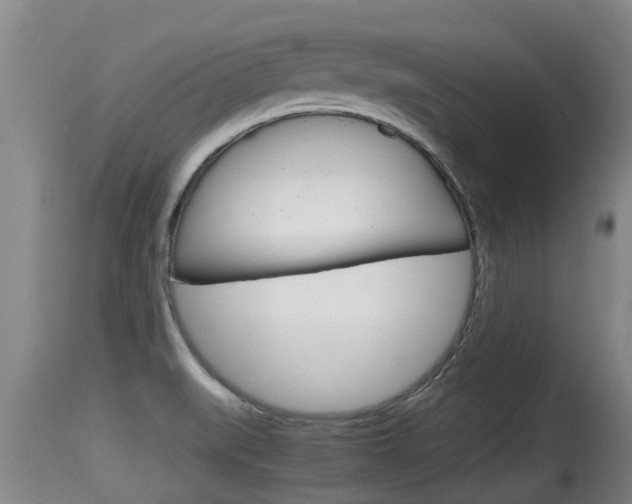 X0000115661519200911120931