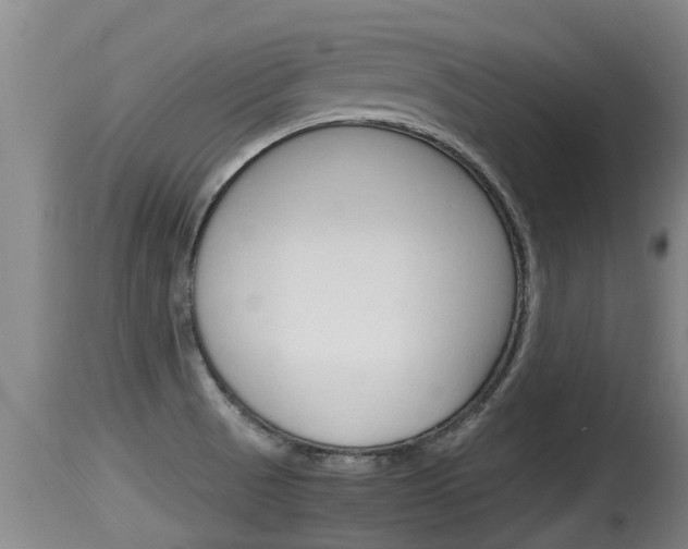 X0000115661521200911120931