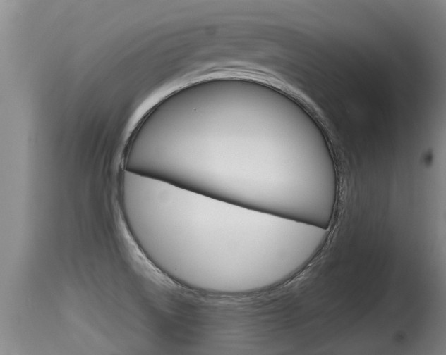 X0000115661522200911120931
