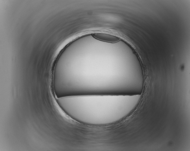 X0000115661523200911120931
