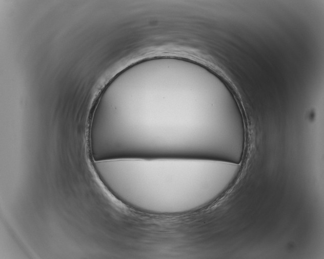 X0000115661525200911120931
