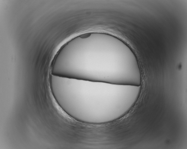 X0000115661526200911120931