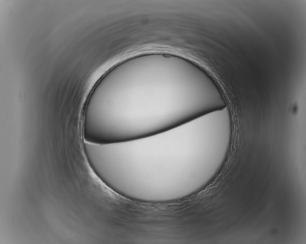 X0000115661527200911120931
