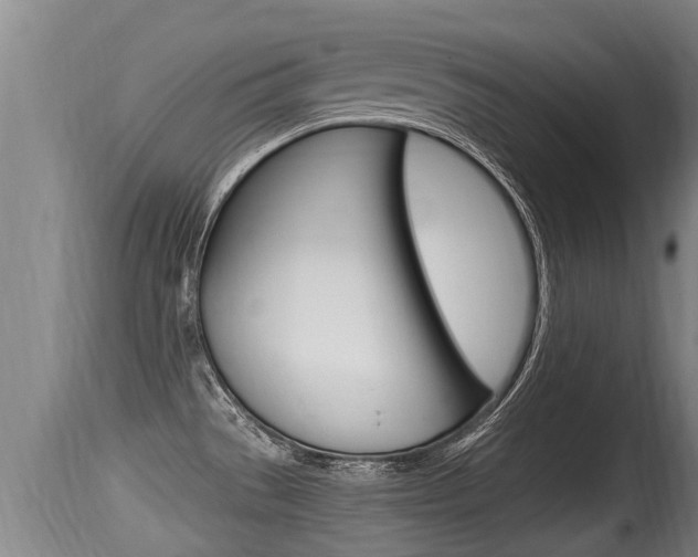 X0000115661529200911120931