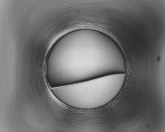 X0000115661531200911120932