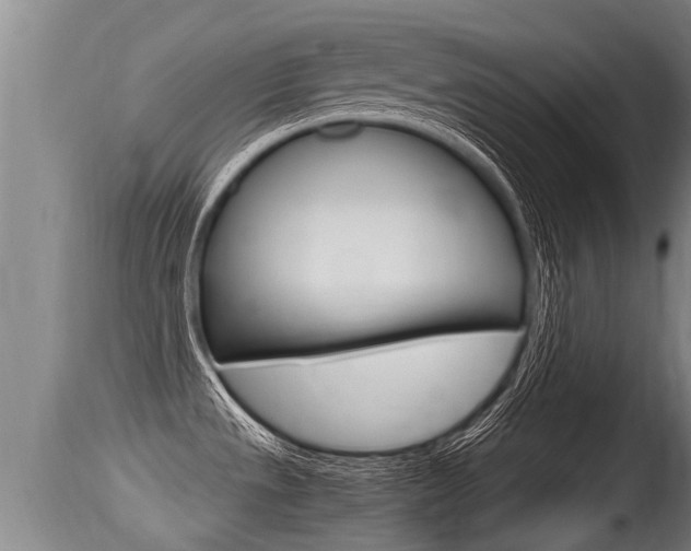 X0000115661533200911120932