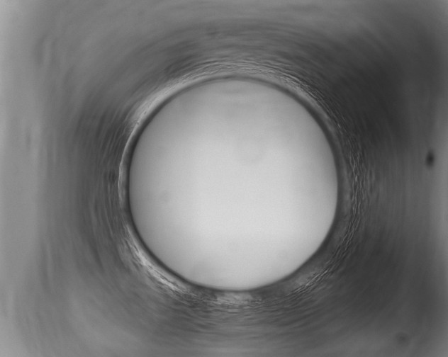 X0000115661535200911120932