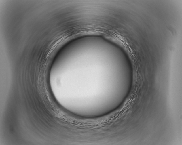X0000115660001200911121223