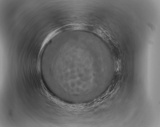 X0000115660004200911121223