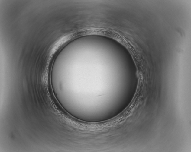 X0000115660006200911121223