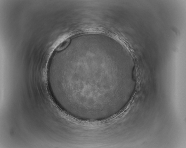 X0000115660008200911121223