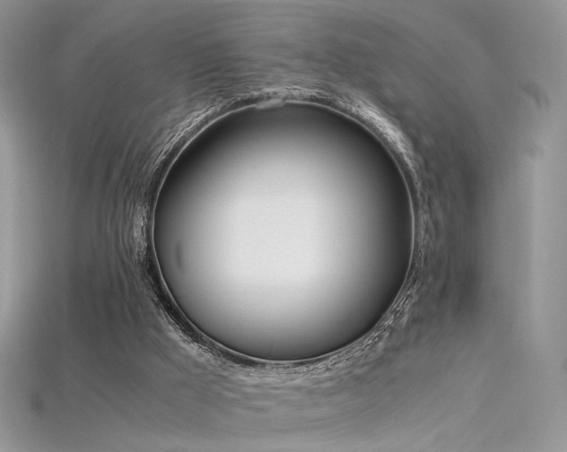 X0000115660009200911121223