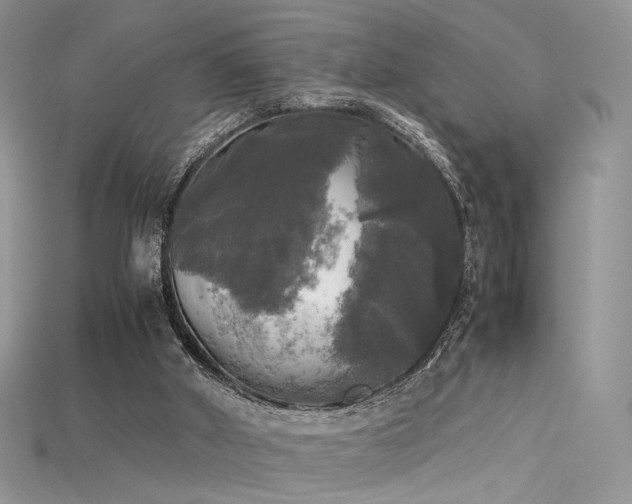 X0000115660010200911121223