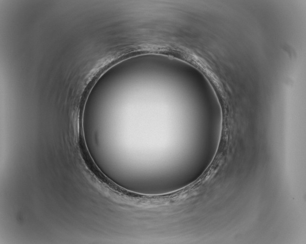 X0000115660011200911121223
