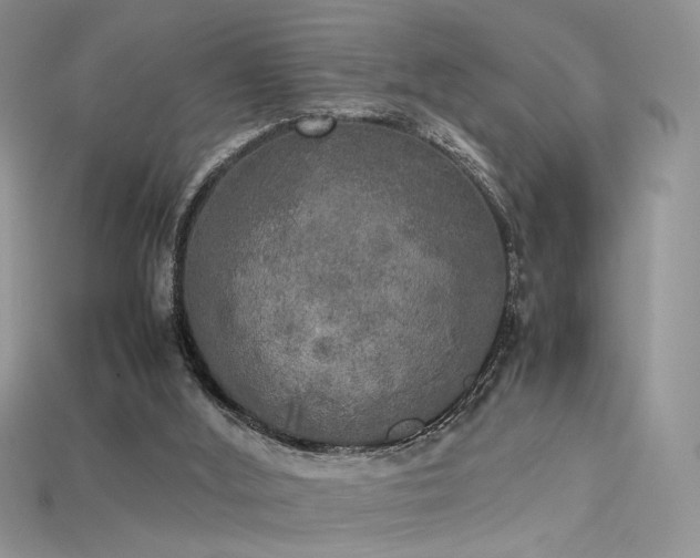 X0000115660012200911121223