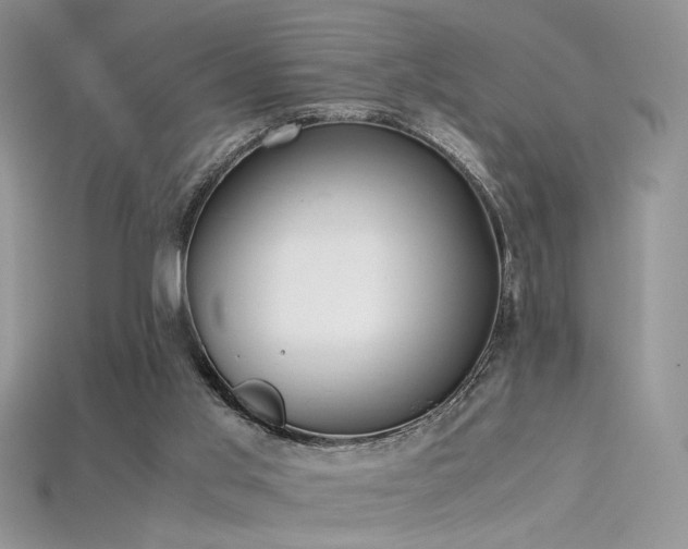 X0000115660013200911121223