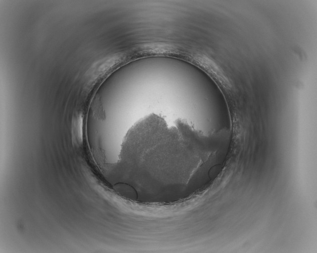 X0000115660014200911121223