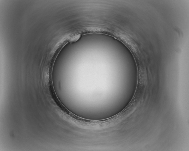 X0000115660015200911121223