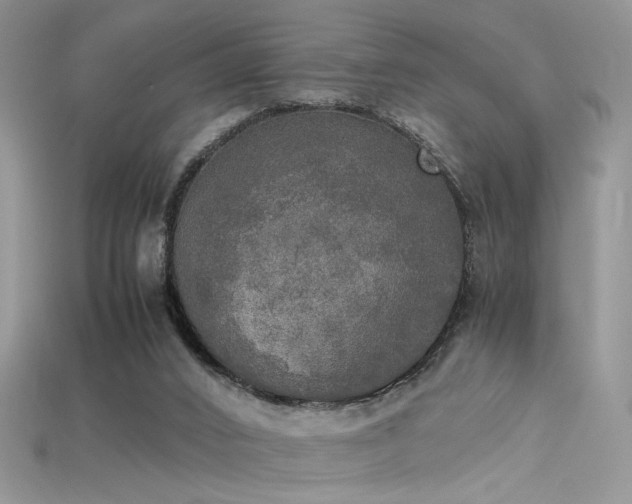 X0000115660016200911121223