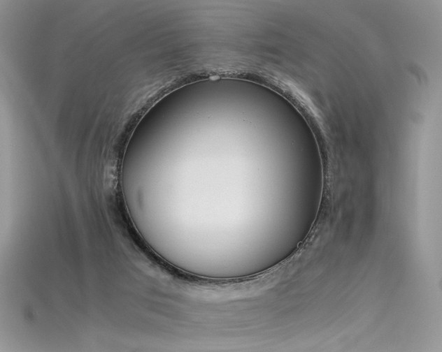 X0000115660017200911121223