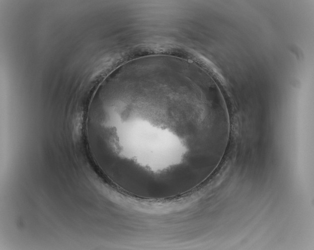 X0000115660018200911121223