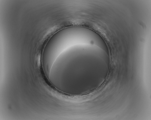 X0000115660019200911121223